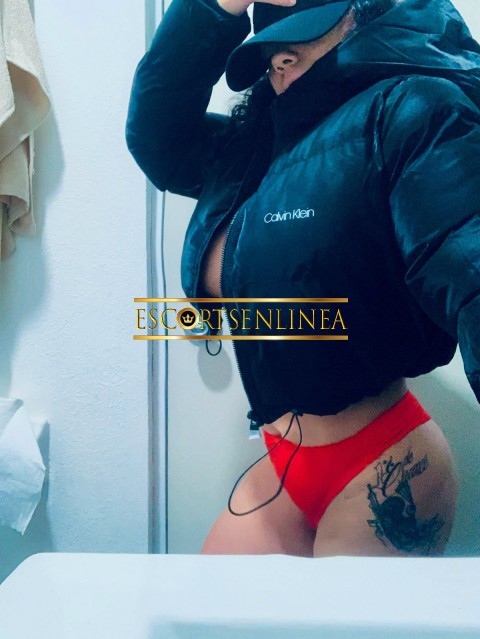 Escort-250_1000687525_thm-Escorts - Venustiano Carranza - Hola papi soy tu hermosa putita con ganas de coger | Escorts en Linea-Hola amor soy marcela Te explico un poco de mi servicio papi
&nbsp;
Incluye besitos
&nbsp;
Un excelente trato de novios,
&nbsp;
Con cari&ntilde;o sin apuro,
&n-escorts, escorts cdmx, escortss mexico, escorts en linea, escorts reales, escorts verificadas