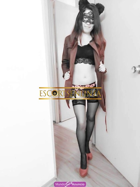 Escort-39_img-20231201-wa0006_thm-Escorts - Ixtlahuaca - Estoy iniciando mi amor | Escorts en Linea-Chica Pettit Chica Pettit Chica Pettit No Gorda En la cama soy una traviesa perrita me encanta jugar a la sensualidad y que me diviertan ( mi &uacute;nico objetivo es-escorts, escorts cdmx, escortss mexico, escorts en linea, escorts reales, escorts verificadas