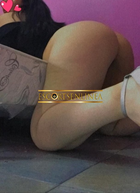 Escort-669_img_20240609_231225_thm-Escorts - Puebla - Conmigo todo es sexo placer y pasi&oacute;n disfruta a mi lado mi amor soy Gabriela  | Escorts en Linea-Mi amor soy Gabriela una jovencita delgada nalgona caderona piernuda cachonda y complaciente&nbsp;
Una jovencita multiorgasmica que te va hacer venir y disfrut-escorts, escorts cdmx, escortss mexico, escorts en linea, escorts reales, escorts verificadas