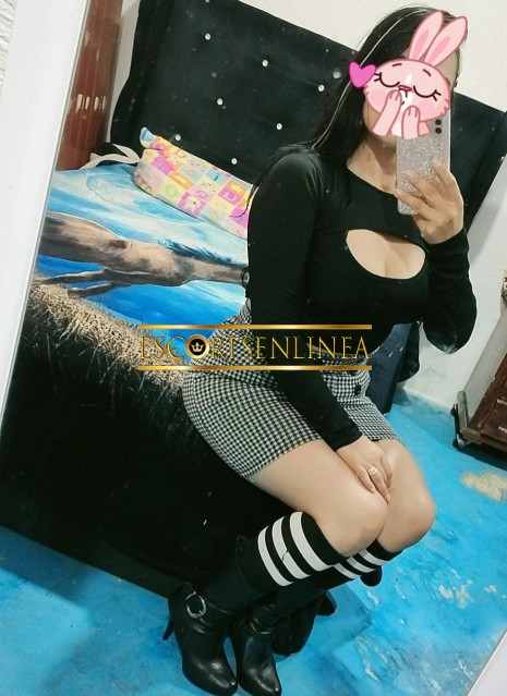 Escort-88_img-20240410-wa0117_thm-Escorts - Ixtapaluca - Pamela disponible para atenderte y pasarla rico  | Escorts en Linea-MI NOMBRE ES PAMELA, TENDRAS LA MEJOR&nbsp;
1500 UNA HORA FITNESS&nbsp;
EXPERIENCIA, SOY GUAPA SEXI BUENA ONDA&nbsp;
SUPER ACCESIBLE&nbsp;
DOY TIEMPO COMPLE-escorts, escorts cdmx, escortss mexico, escorts en linea, escorts reales, escorts verificadas