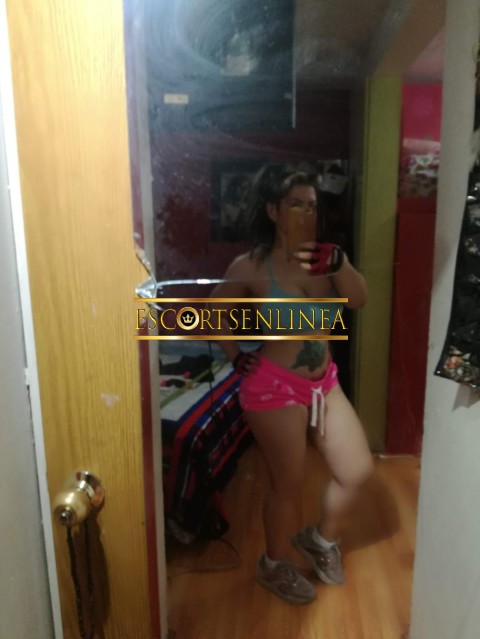 Escort-1128_img-20241105-wa0005_thm-Escorts - Escorts en M&eacute;xico - GUAPA SE&Ntilde;ORA DE 40 A&Ntilde;OS | Escorts en Linea-HOLA CORAZ&Oacute;N TE CUENTO SOY BRENDA VOY EMPEZANDO A DEDICARME A ESTE ROLLO DE ESCORT TENGO 41 A&Ntilde;OS SOY DIVORCIADA VIVO EN SATELITE TE PUEDO VER EN EL HOTEL DE T-ESCORT ACOMPA&Ntilde;ANTE 